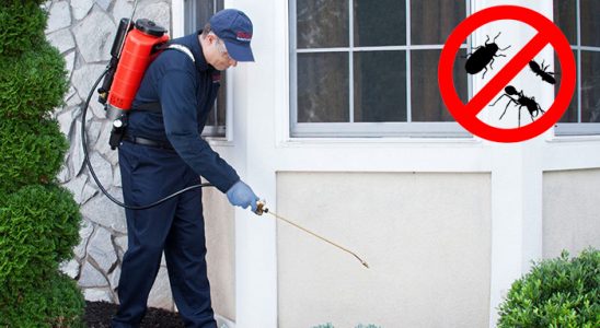Kaş Dezenfeksiyon böcek ilaçlama ve haşere kontrolü — ilaclama-tr.com